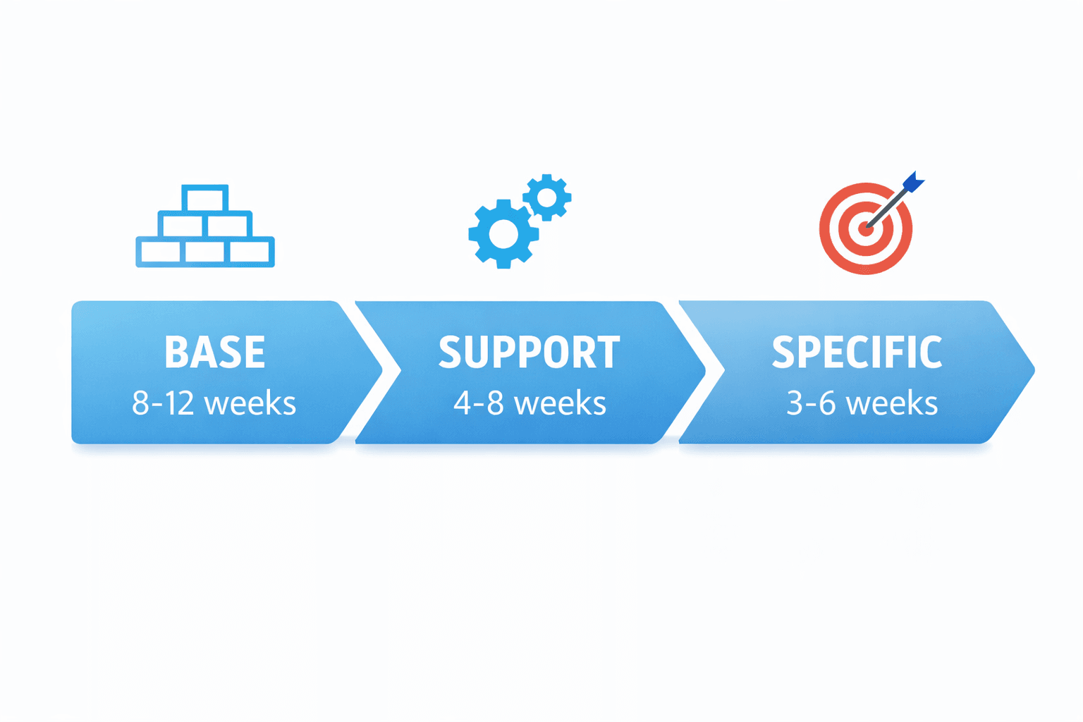 Triphasic training three phases overview